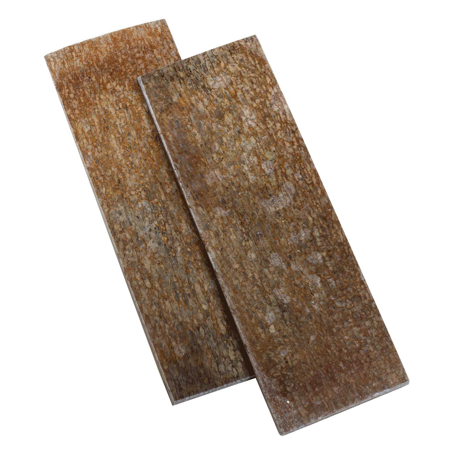 Echter Dinosaurier Knochen - Griffschalenpaar -  125 x 42 x 6 mm