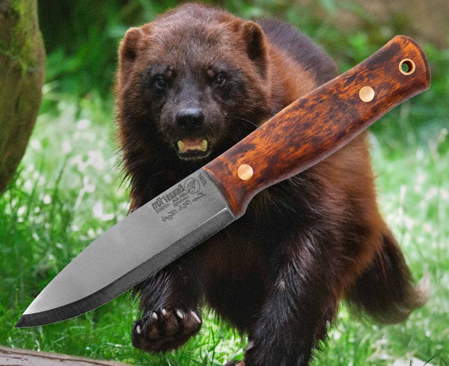 Casström Lars Fält Knife Järv Edition