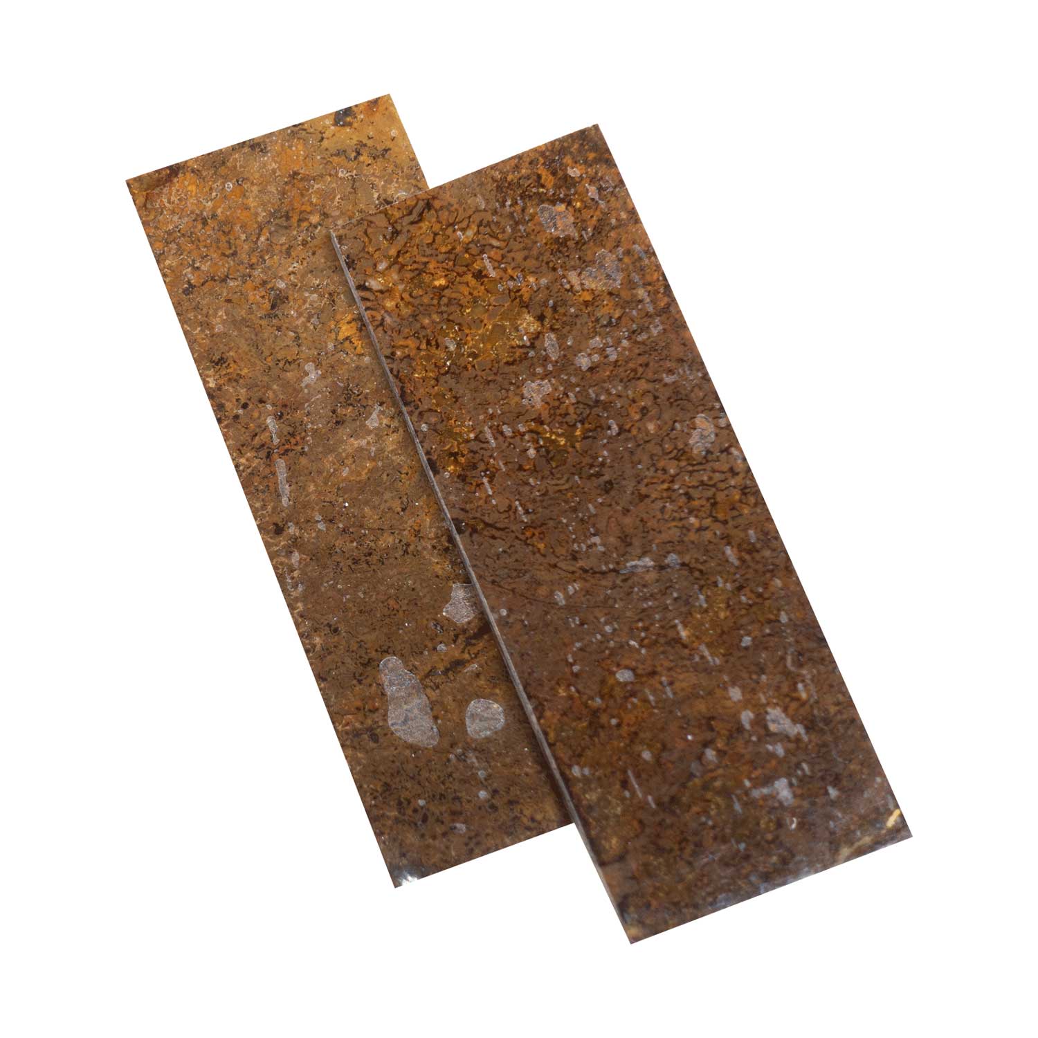 Echter Dinosaurier Knochen - Griffschalenpaar -  125 x 42 x 6 mm