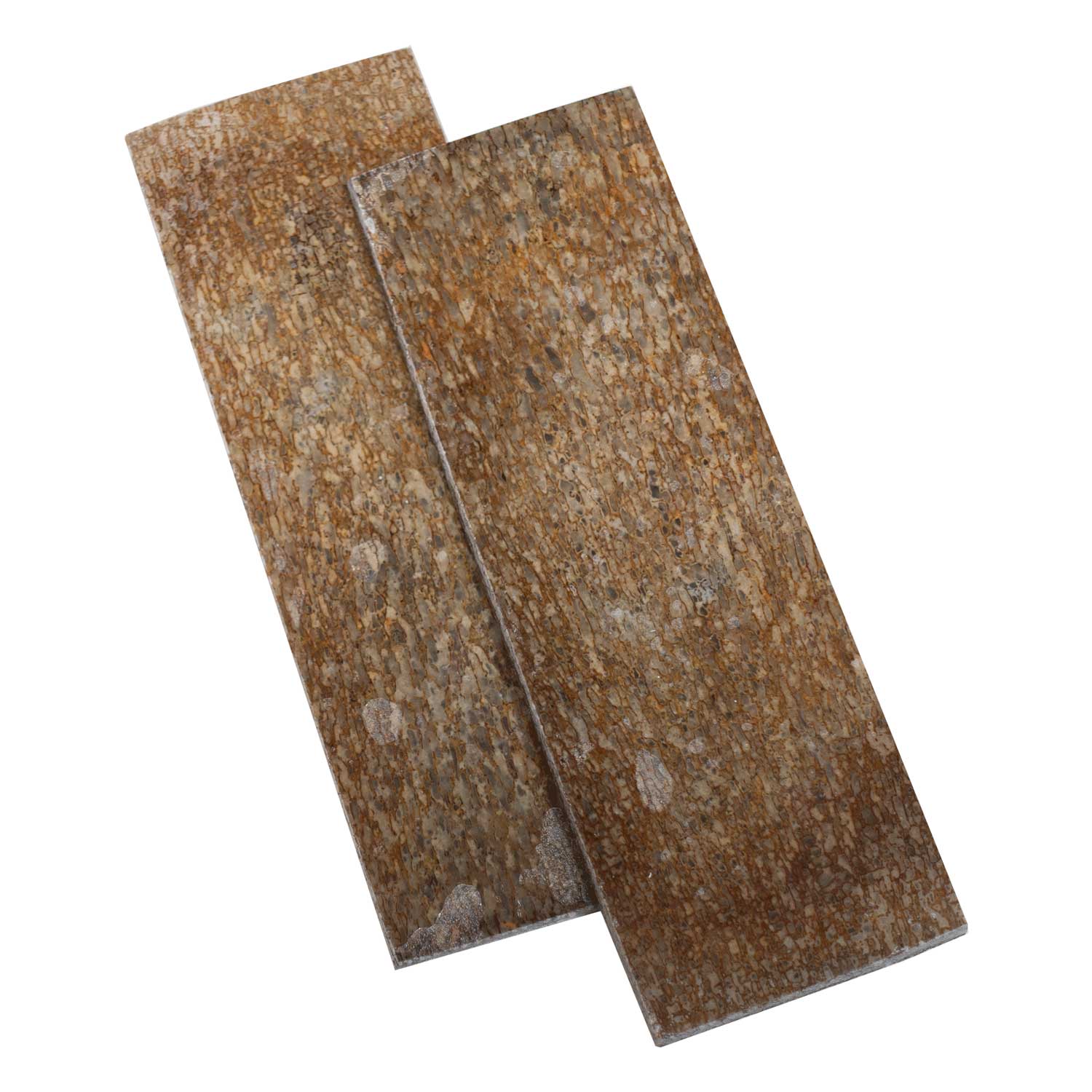 Echter Dinosaurier Knochen - Griffschalenpaar -  125 x 42 x 6 mm
