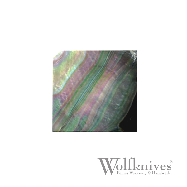 Abalone Perlmutt Quadrate - 30 x 30 mm - 1 Stück