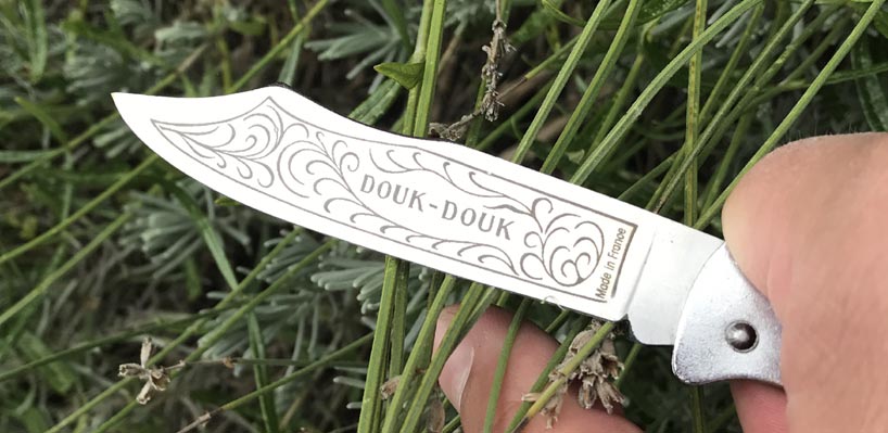 Kat_Douk-Douk2