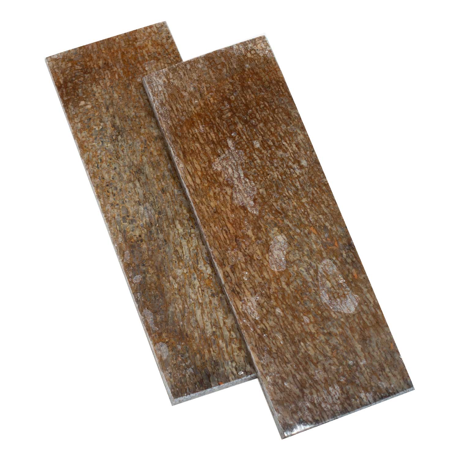 Echter Dinosaurier Knochen - Griffschalenpaar -  125 x 42 x 6 mm
