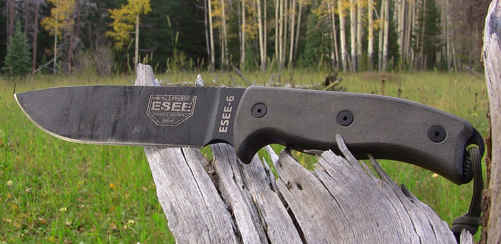 Esee_1024x500