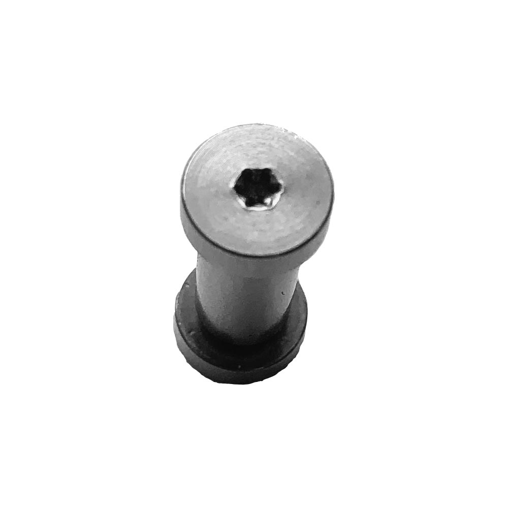 Torx Schraube