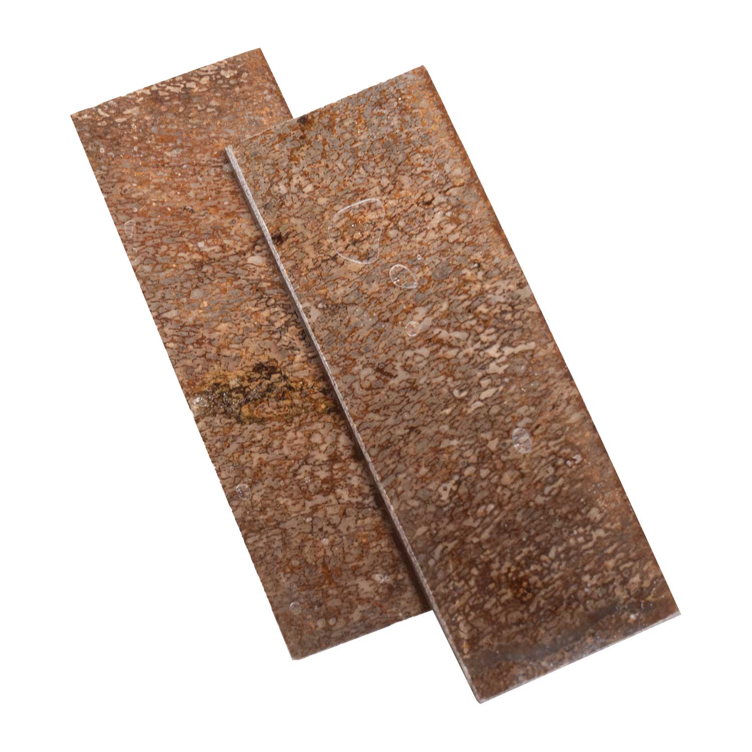 Echter Dinosaurier Knochen - Griffschalenpaar -  125 x 42 x 6 mm