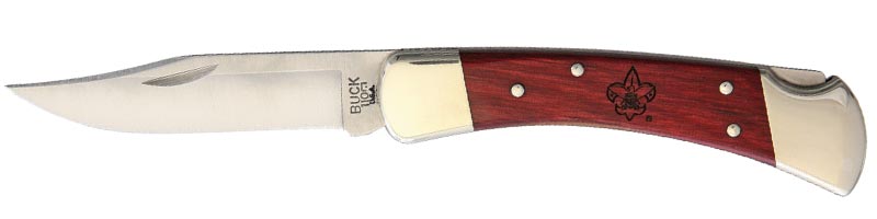 BU110CWSBSA_b